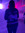 Evi