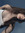 Ania T