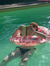 Sanne
