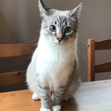 Katie