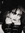 gnarl_garl043