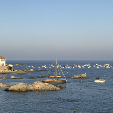 Mireia