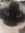 Wilma P