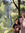 Gouri (gourianil) | 44 comments