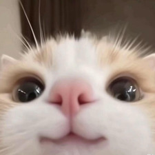 Hugo