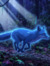 Mahesh