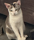yuko