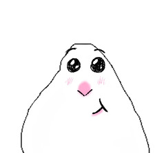 ninuss