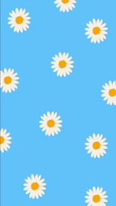 L__S