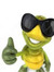 Gabro M...