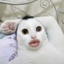 nai