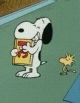 Bob