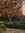 Bess