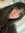Emilia