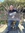 Shane | 2 comments