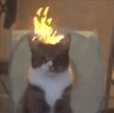 Loa