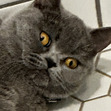 Ȩ̶̱̰̪͇̠̺̗̌̎̃̅̿́̍̔̽́͛͋͠v̸̨̨̧̡̘̙͈̭͖̯̩͔͔̞̘̦͉̠̺̼̥͔̟̜̟͖͚͈̻̩̺͉͙̦͕͎́̈̔̽͗͑̌͌̈̃̆̂̈̅̈̿̾̔̒̑̾̿̅̉̐̋̏͂͋̈̅̽̍̉́̒̄̊̈́̈́̂̋͌̽̕͘͜͜͝ȧ̷̡̨̤͈̖̯͉͔̟̩̦͇̯̞̳̹̝̞͓̥͑͒́́̿̓̀̂̋̂̏͆́̌͐͠͠