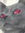 Eirikr