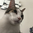 Jon