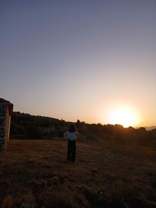 Alba