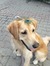 Ecem