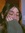 Montse