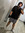 Joel Flores