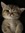 Emmsy