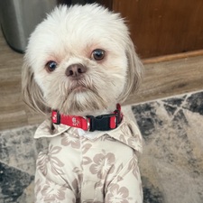 Excelsie Wallace