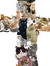 Aila Cat