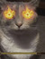 Meowsh ...