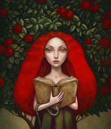 Rebecca Reads