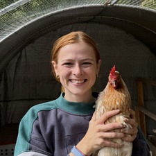 Heidi