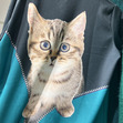 Sara