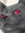 Eirikr