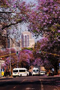 Olwethu