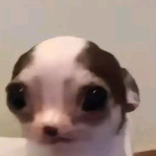 Tab