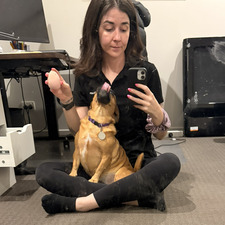 Laina