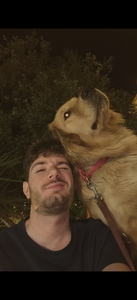 Vincenzo