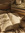 ~Tery~