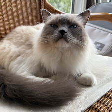 Oliwia