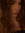 Kaylee Cann