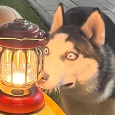 lightbringer