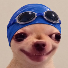 Paula Puchol