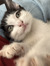 kat’s b...