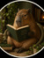 Capybara
