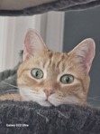 Meg
