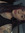 Megan Fuson