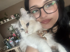 elisa