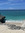 lil.lyse